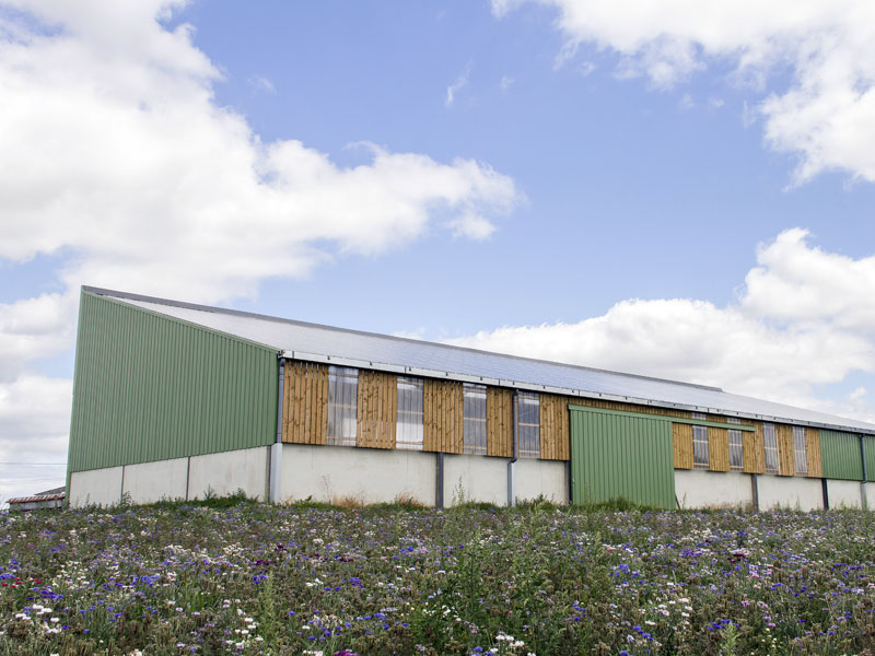 bâtiment agricole - vue arrière